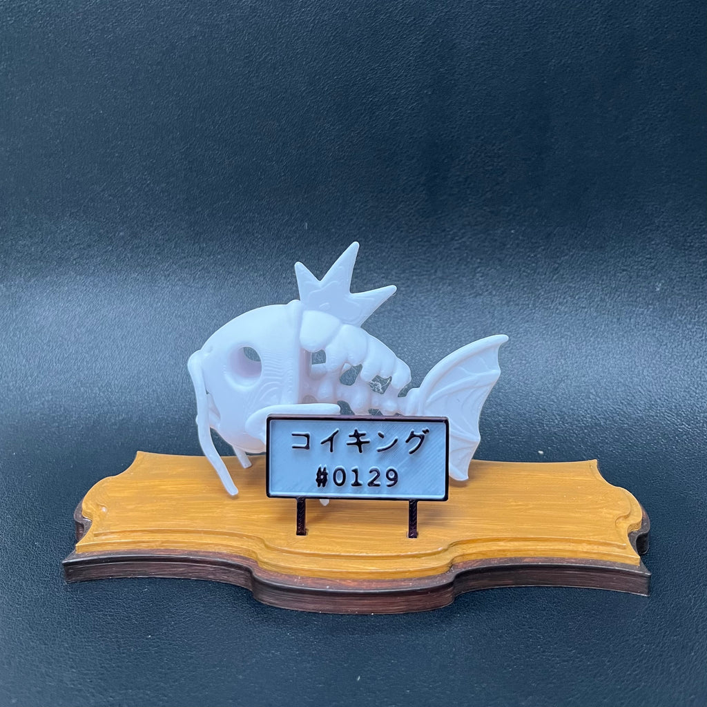 Espositore con magikarp scheletro